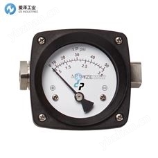 DIFFERENTIAL差壓表PG-1A35-100P-CBSS
