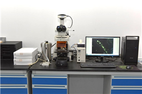 THMSG-800A地质流体包裹体冷热台