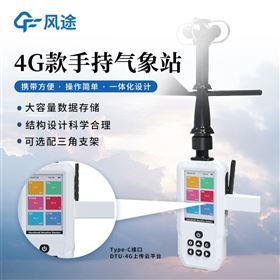 FT-SQ13+高智能电子气象仪