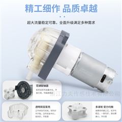 LFP303A/DB直流有刷蠕動(dòng)泵