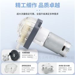 LFP303A/DB直流有刷蠕動(dòng)泵