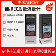 气体质量流量计 满足工业大流量测量需求