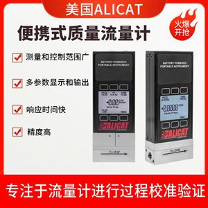 氣體質量流量計 滿足工業大流量測量需求