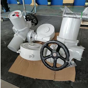 智能一體化調(diào)節(jié)型多回轉(zhuǎn)電動(dòng)執(zhí)行器