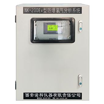 H2純度分析測量儀