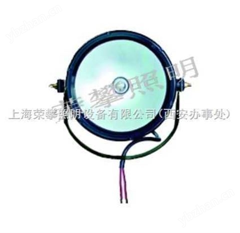 DGY100 防爆泛光燈