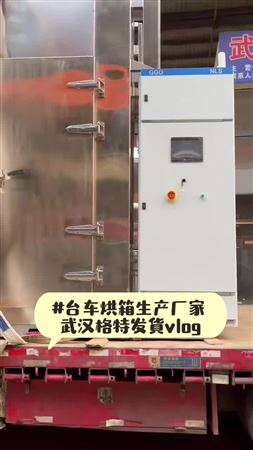 臺車高溫烘箱材質(zhì)優(yōu)選不銹鋼板匠心焊接制作而成【武漢格特廠家發(fā)貨實拍】