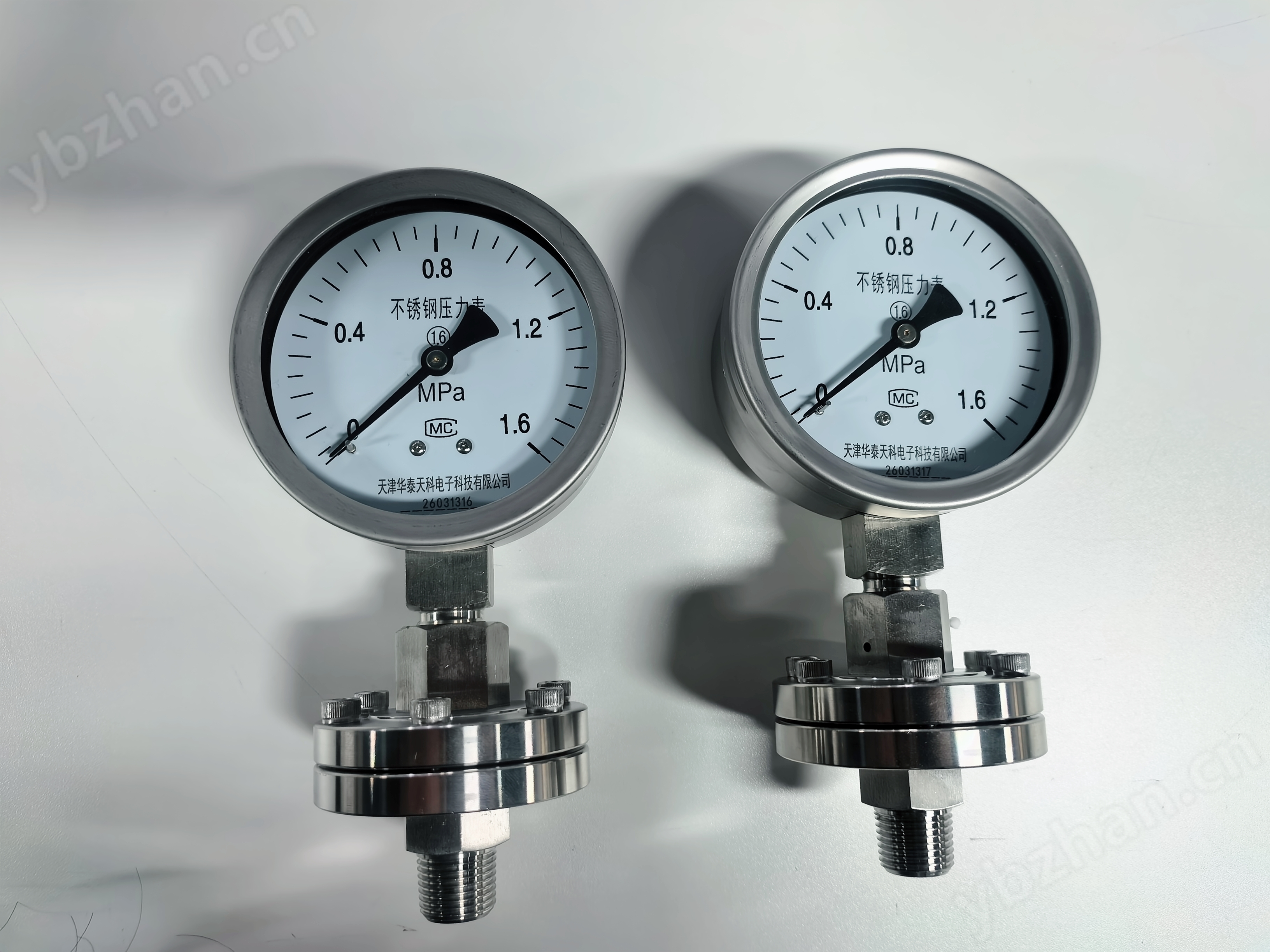 隔膜壓力表 不銹鋼材質 電池供電 北京