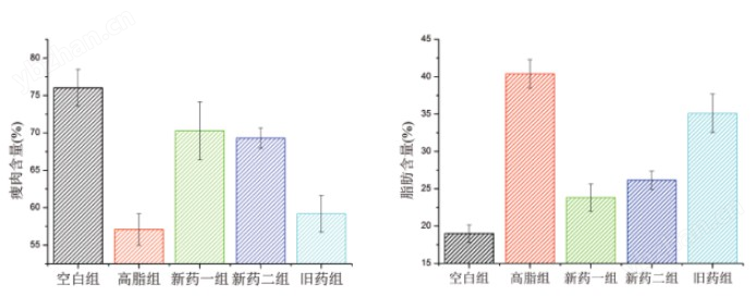 低場核磁共振證候動物模型脂肪含量測量儀