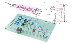 北京大学电子学院陈景标教授团队在单一量子体系中同步实现两种光钟