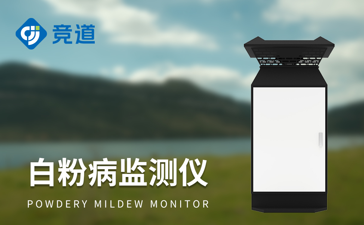 白粉病怎么防治：綜合策略與有效方法解析