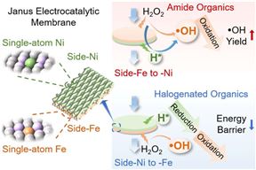 �廪��ѧ����ѧԺ����Դ��������˫���߻�Ĥ��ˮ��ȴ����о�����ȡ���½�չ