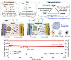 西安交大徐友龙教授团队在聚合物固态锂电池研究领域取得进展