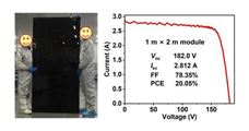 上海交大赵一新团队Nature发文，以“基质限域分子层”型电荷传输层设计实现高效率大面积钙钛矿光伏模组