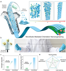 合肥工业大学在生物质离子传输增效发电和传感研究领域取得系列新进展