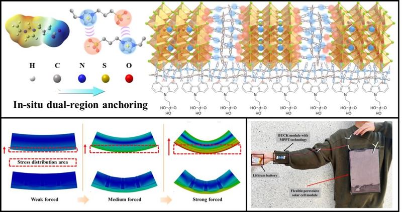 西安交大突破柔性光伏技术瓶颈：新型凝胶策略助力钙钛矿电池迈向实用化