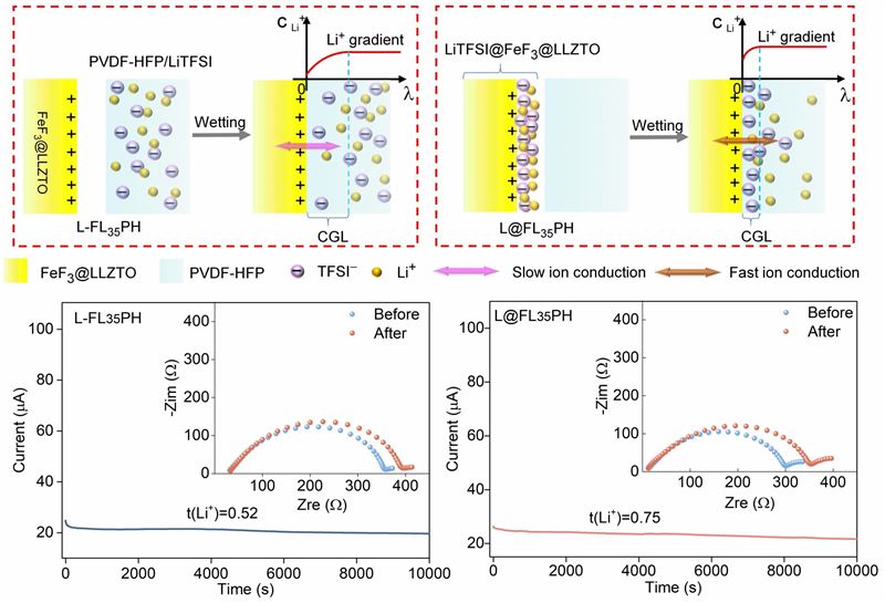 廈門大學(xué)團(tuán)隊在復(fù)合固態(tài)電池有機-無機界面研究中取得重要進(jìn)展