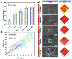 微生物加速高强钢应力腐蚀开裂机理研究取得进展