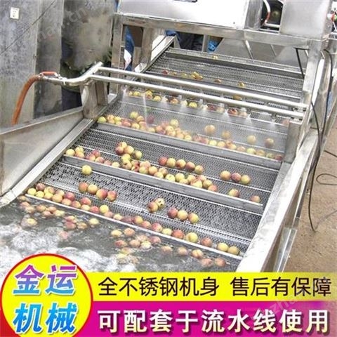 可定制氣泡清洗機 凈菜加工流水線