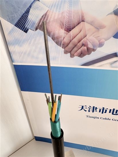 通信光纜GYFTY