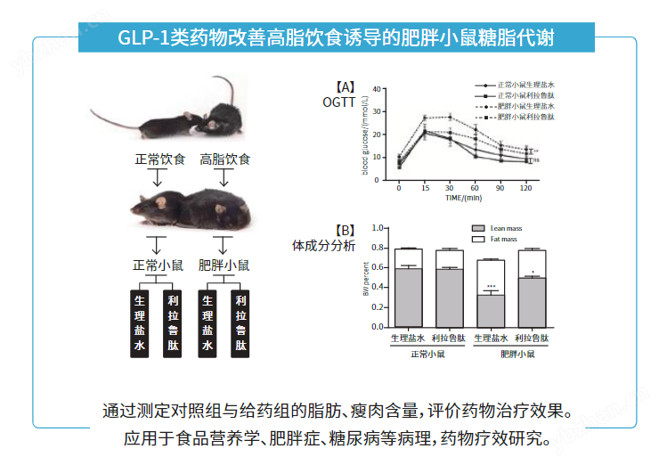動物脂肪含量測試儀-上海