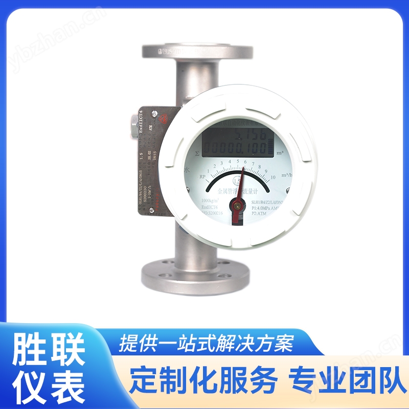 防爆型转子流量计（法兰连接）