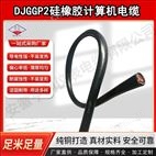 ZA-B2-DJYJYP1-33鎧裝計算機電纜0.2mm單絲