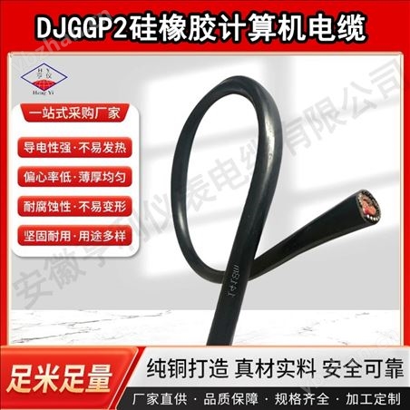 ZA-B2-DJYJYP1-33鎧裝計算機電纜0.2mm單絲