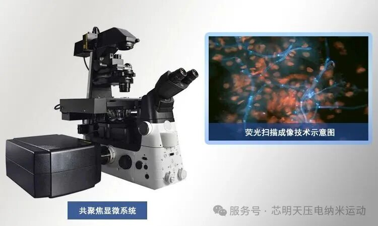 芯明天壓電納米定位臺:助力六方氮化硼單光子源研究
