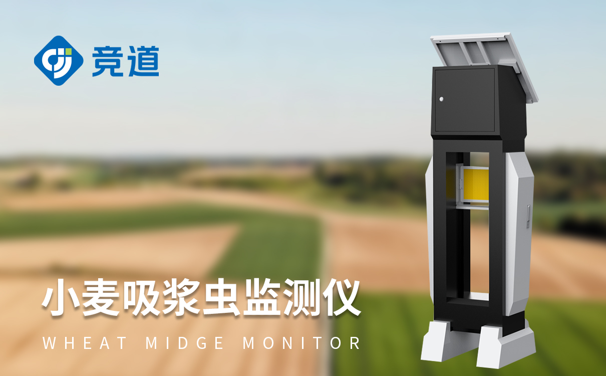 小麦吸浆虫防治方法 小麦吸浆虫防治方法