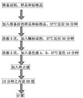 操作程序總結(jié).png