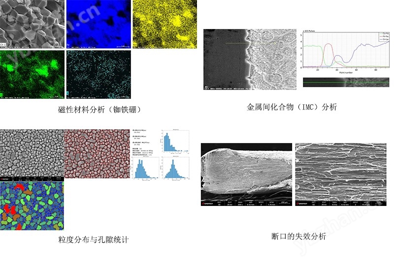 SEM扫描电子显微镜
