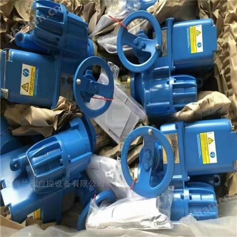 德瑞模EMG電動執(zhí)行器/DPiM119/DPiM300