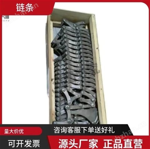 易普森10號(hào)爐用鏈條