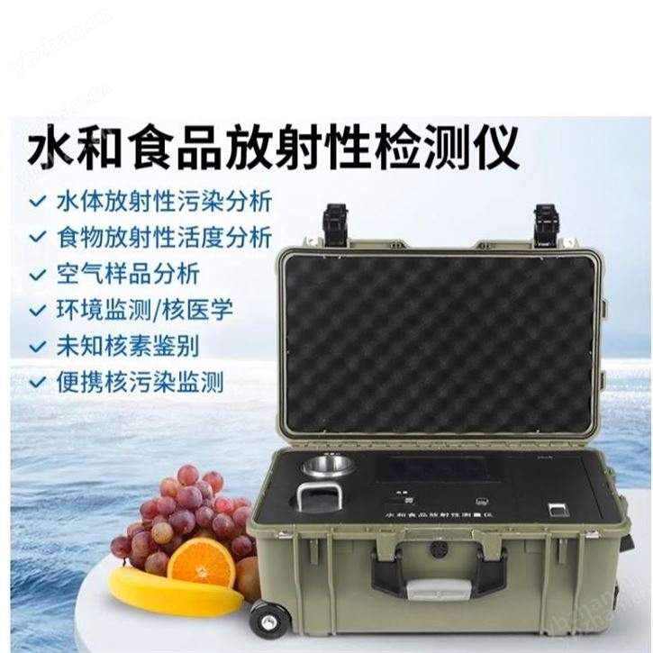 HY-300型水和食品放射性活度测量仪